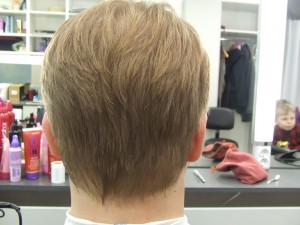 Meestelõikus kukal